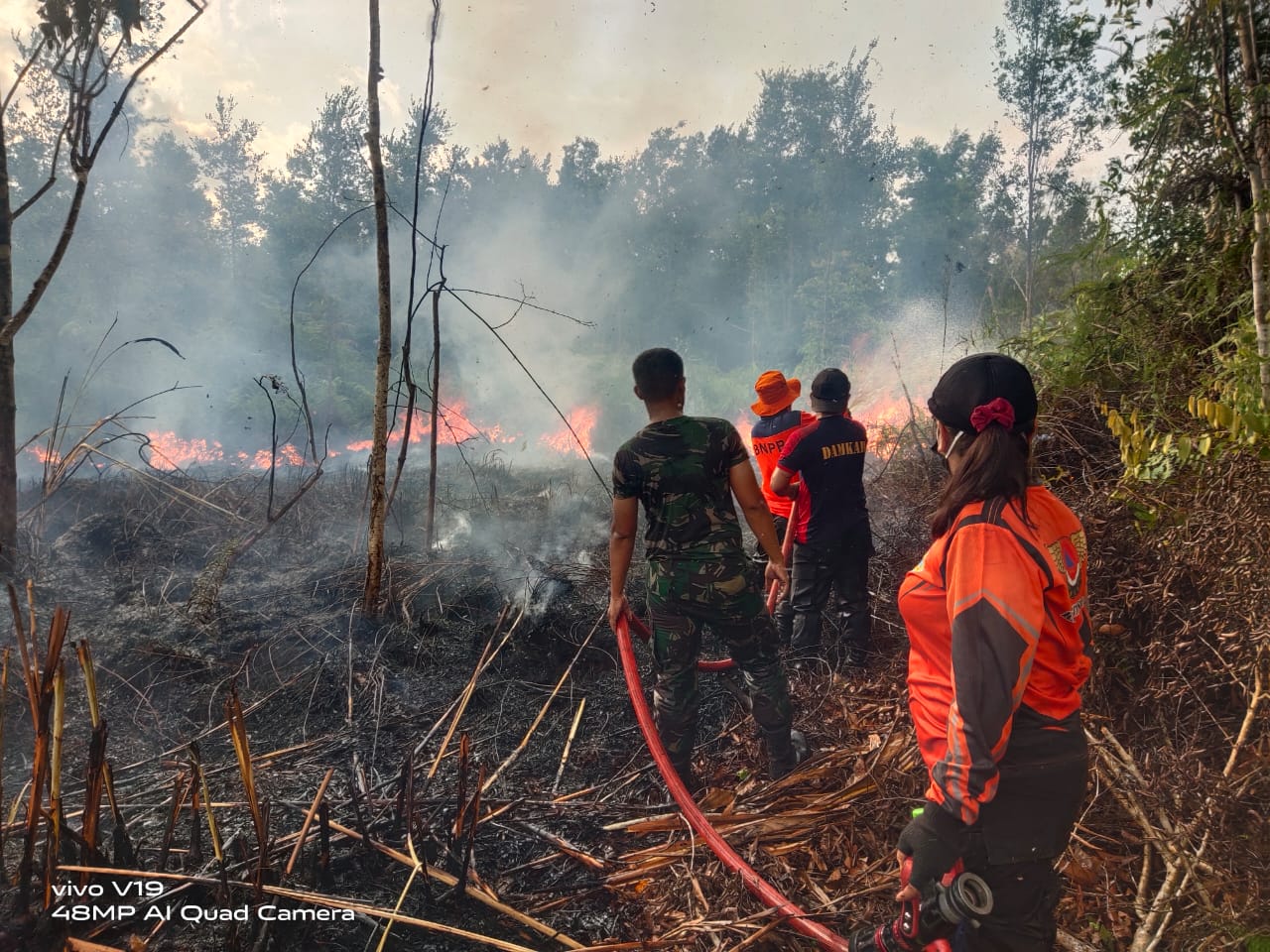 Petugas Gabungan Berhasil Padamkan 26 Hektar Lahan Terbakar di Kabupaten Barito Selatan